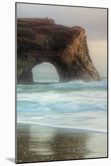 Natural Bridge Portrait, Santa Cruz-Vincent James-Mounted Photographic Print