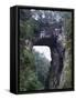 Natural Bridge, Virginia-null-Framed Stretched Canvas