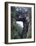 Natural Bridge, Virginia-null-Framed Photographic Print