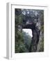 Natural Bridge, Virginia-null-Framed Photographic Print
