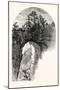 Natural Bridge, Virginia-John Douglas Woodward-Mounted Giclee Print