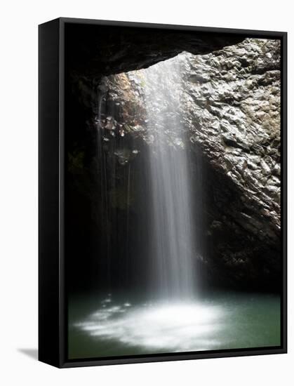 Natural Bridge Waterfall, Springbrook National Park, Gold Coast Hinterland, Queensland, Australia-David Wall-Framed Stretched Canvas