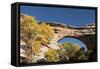 Natural Bridges National Monument, Utah, United States of America, North America-Richard Maschmeyer-Framed Stretched Canvas