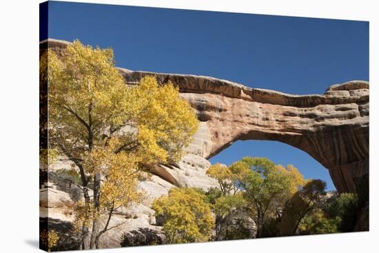 Natural Bridges National Monument, Utah, United States of America, North America-Richard Maschmeyer-Stretched Canvas