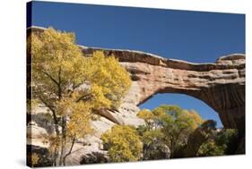 Natural Bridges National Monument, Utah, United States of America, North America-Richard Maschmeyer-Stretched Canvas