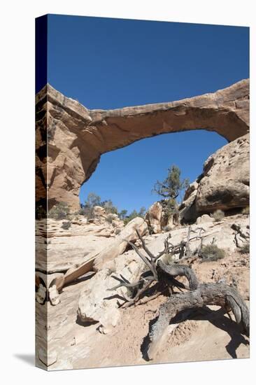 Natural Bridges National Monument, Utah, United States of America, North America-Richard Maschmeyer-Stretched Canvas