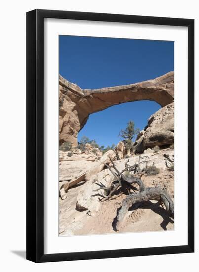 Natural Bridges National Monument, Utah, United States of America, North America-Richard Maschmeyer-Framed Photographic Print