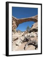 Natural Bridges National Monument, Utah, United States of America, North America-Richard Maschmeyer-Framed Photographic Print