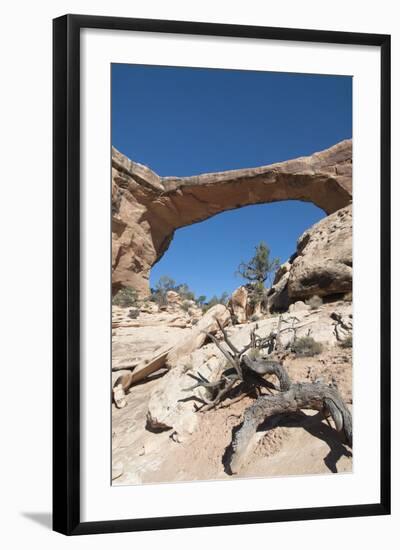 Natural Bridges National Monument, Utah, United States of America, North America-Richard Maschmeyer-Framed Photographic Print