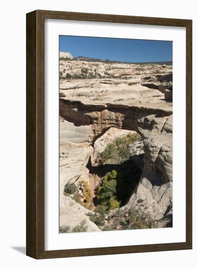 Natural Bridges National Monument, Utah, United States of America, North America-Richard Maschmeyer-Framed Photographic Print