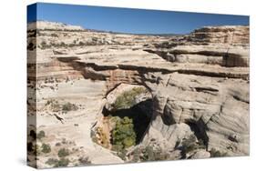 Natural Bridges National Monument, Utah, United States of America, North America-Richard Maschmeyer-Stretched Canvas