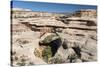 Natural Bridges National Monument, Utah, United States of America, North America-Richard Maschmeyer-Stretched Canvas