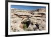 Natural Bridges National Monument, Utah, United States of America, North America-Richard Maschmeyer-Framed Photographic Print