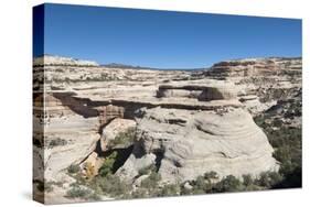 Natural Bridges National Monument, Utah, United States of America, North America-Richard Maschmeyer-Stretched Canvas