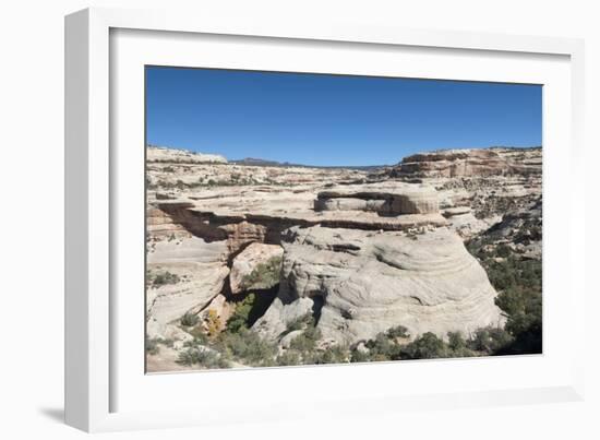 Natural Bridges National Monument, Utah, United States of America, North America-Richard Maschmeyer-Framed Photographic Print