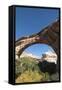 Natural Bridges National Monument, Utah, United States of America, North America-Richard Maschmeyer-Framed Stretched Canvas