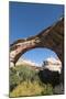 Natural Bridges National Monument, Utah, United States of America, North America-Richard Maschmeyer-Mounted Photographic Print