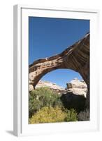 Natural Bridges National Monument, Utah, United States of America, North America-Richard Maschmeyer-Framed Photographic Print