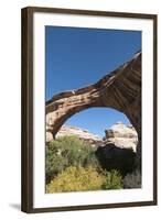 Natural Bridges National Monument, Utah, United States of America, North America-Richard Maschmeyer-Framed Photographic Print