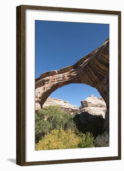 Natural Bridges National Monument, Utah, United States of America, North America-Richard Maschmeyer-Framed Photographic Print