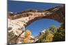 Natural Bridges National Monument, Utah, United States of America, North America-Richard Maschmeyer-Mounted Photographic Print