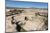 Natural Bridges National Monument, Utah, United States of America, North America-Richard Maschmeyer-Mounted Photographic Print