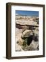 Natural Bridges National Monument, Utah, United States of America, North America-Richard Maschmeyer-Framed Photographic Print