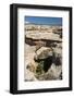 Natural Bridges National Monument, Utah, United States of America, North America-Richard Maschmeyer-Framed Photographic Print