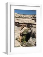 Natural Bridges National Monument, Utah, United States of America, North America-Richard Maschmeyer-Framed Photographic Print