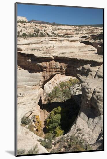 Natural Bridges National Monument, Utah, United States of America, North America-Richard Maschmeyer-Mounted Photographic Print