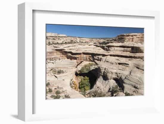 Natural Bridges National Monument, Utah, United States of America, North America-Richard Maschmeyer-Framed Photographic Print