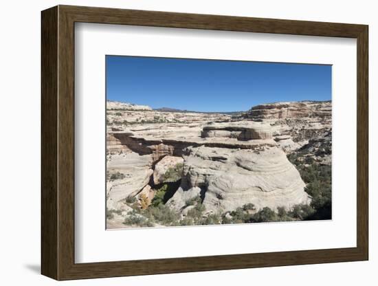 Natural Bridges National Monument, Utah, United States of America, North America-Richard Maschmeyer-Framed Photographic Print