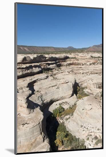 Natural Bridges National Monument, Utah, United States of America, North America-Richard Maschmeyer-Mounted Photographic Print