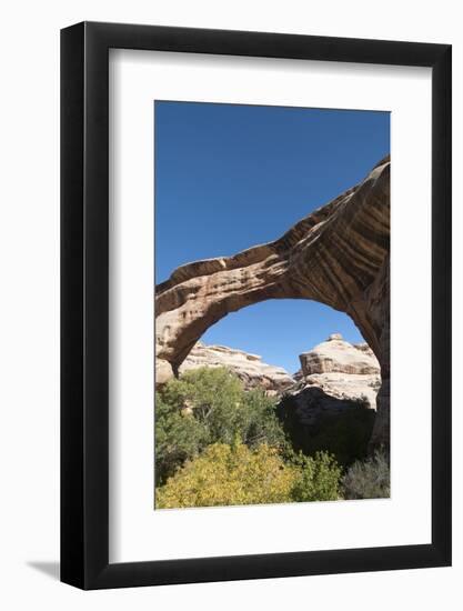 Natural Bridges National Monument, Utah, United States of America, North America-Richard Maschmeyer-Framed Photographic Print