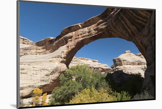 Natural Bridges National Monument, Utah, United States of America, North America-Richard Maschmeyer-Mounted Photographic Print