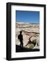 Natural Bridges National Monument, Utah, United States of America, North America-Richard Maschmeyer-Framed Photographic Print