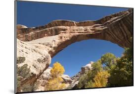 Natural Bridges National Monument, Utah, United States of America, North America-Richard Maschmeyer-Mounted Photographic Print