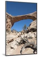 Natural Bridges National Monument, Utah, United States of America, North America-Richard Maschmeyer-Mounted Photographic Print