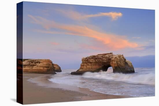 Natural Bridges State Park, Santa Cruz, California, United States of America, North America-Richard Cummins-Stretched Canvas