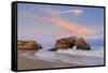 Natural Bridges State Park, Santa Cruz, California, United States of America, North America-Richard Cummins-Framed Stretched Canvas