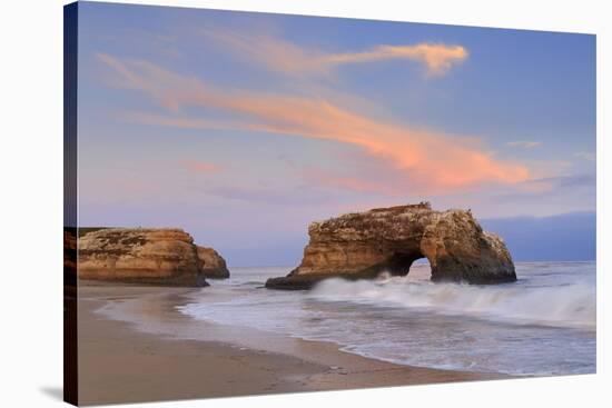 Natural Bridges State Park, Santa Cruz, California, United States of America, North America-Richard Cummins-Stretched Canvas