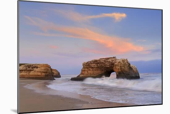 Natural Bridges State Park, Santa Cruz, California, United States of America, North America-Richard Cummins-Mounted Photographic Print