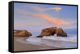 Natural Bridges State Park, Santa Cruz, California, United States of America, North America-Richard Cummins-Framed Stretched Canvas