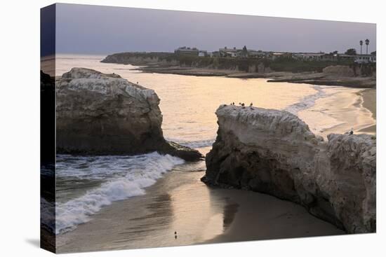 Natural Bridges State Park, Santa Cruz, California, United States of America, North America-Richard Cummins-Stretched Canvas