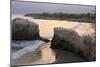 Natural Bridges State Park, Santa Cruz, California, United States of America, North America-Richard Cummins-Mounted Photographic Print