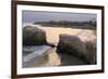 Natural Bridges State Park, Santa Cruz, California, United States of America, North America-Richard Cummins-Framed Photographic Print