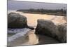 Natural Bridges State Park, Santa Cruz, California, United States of America, North America-Richard Cummins-Mounted Photographic Print