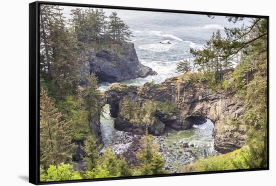 Natural Bridges Viewpoint, Oregon, USA. View of the Natural Bridges on the Oregon coast.-Emily Wilson-Framed Stretched Canvas