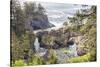 Natural Bridges Viewpoint, Oregon, USA. View of the Natural Bridges on the Oregon coast.-Emily Wilson-Stretched Canvas