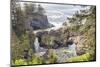 Natural Bridges Viewpoint, Oregon, USA. View of the Natural Bridges on the Oregon coast.-Emily Wilson-Mounted Photographic Print
